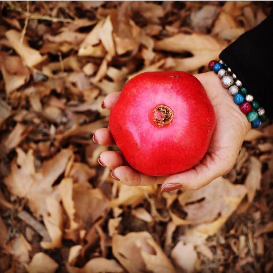 پخش رب انار