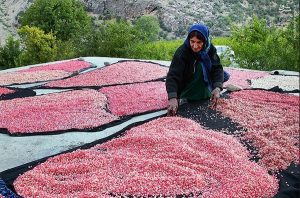 رب انار طبیعی غلیظ