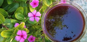 رب انار طبیعی محلی