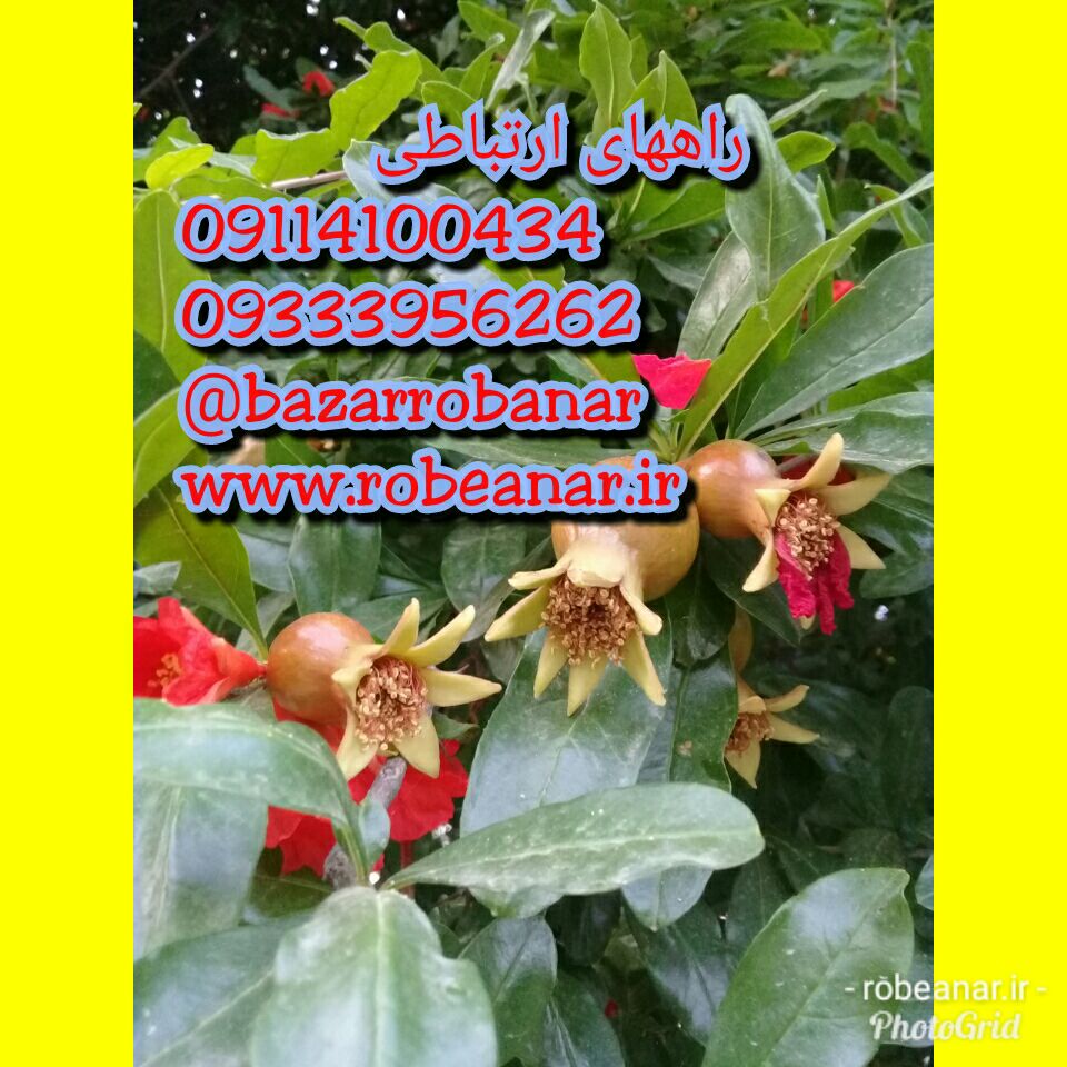 راههای ارتباطی