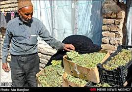 طرز تهیه شیره انگور