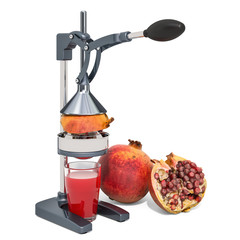 دستگاه آبگیر انار