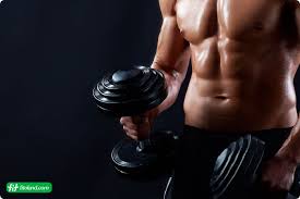 سه شیره و بدن سازی