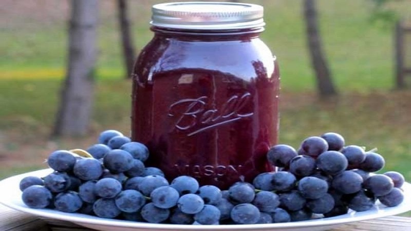 انواع شیره انگور